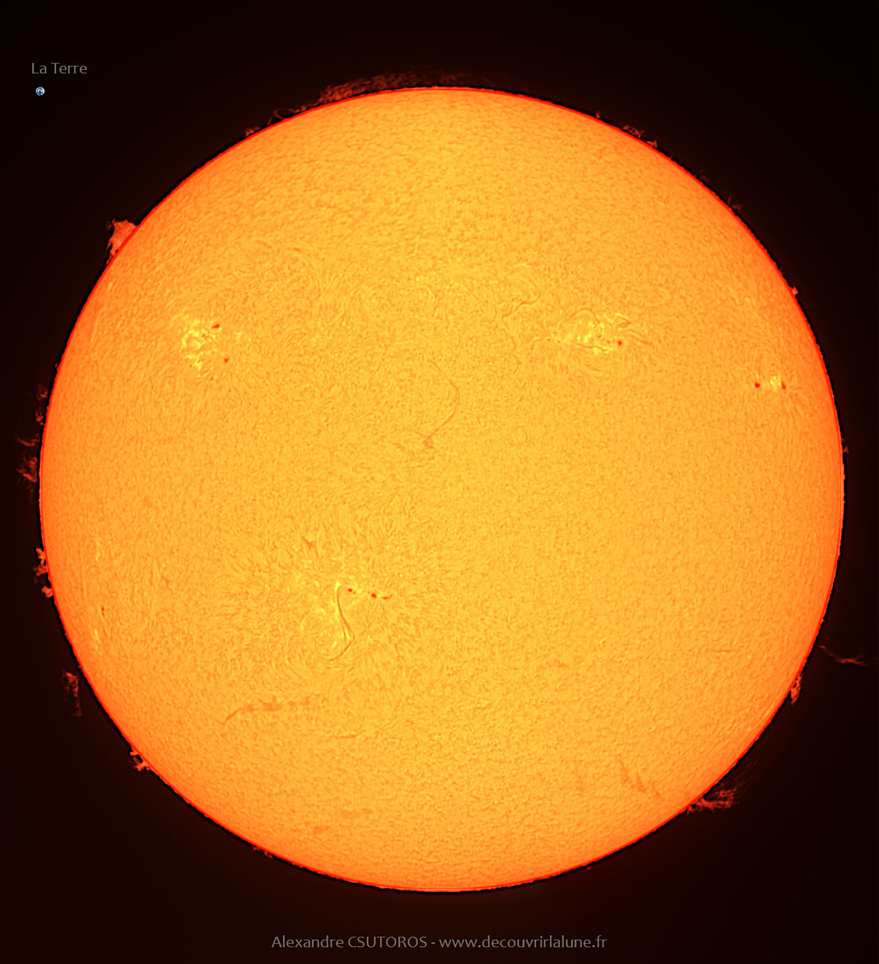 sun-02012022-1-1.jpg